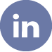 Company LinkedIn Profile